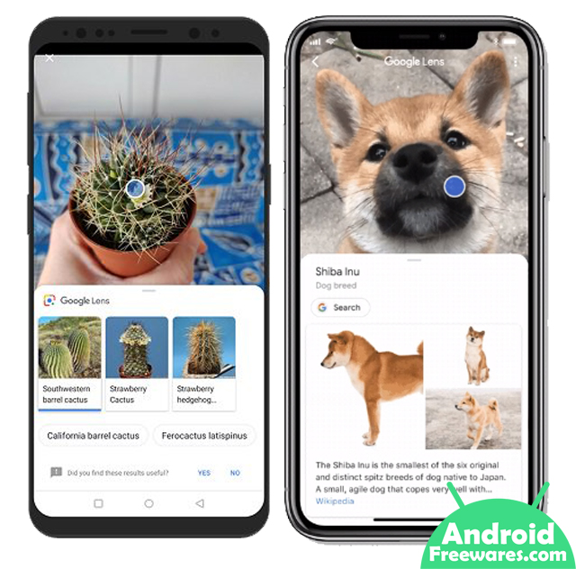 google lens identify plants and animals